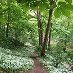 Adventure Riverside Campervan ! Bristol