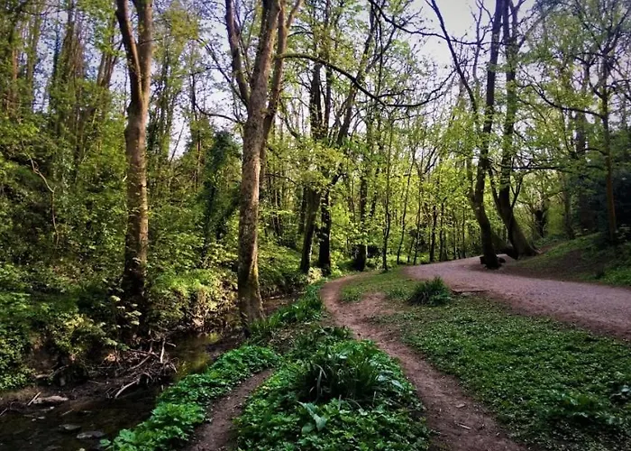 Adventure Riverside Campervan ! Botel *
