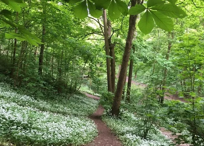 Adventure Riverside Campervan ! Bristol
