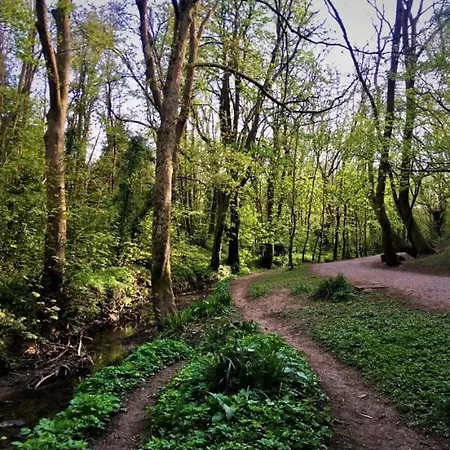 Adventure Riverside Campervan ! Botel *
