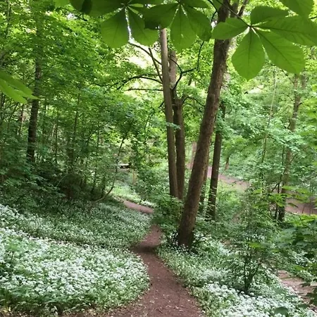 Adventure Riverside Campervan ! Bristol